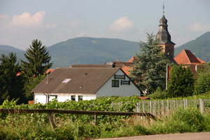 Preview von Pension Brand